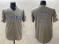Chicago Cubs Gray Harry Caray Holy Cow Patch Limited Stitched Baseball Jersey